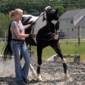 cropped-img_20180601_112332-e1533914675125